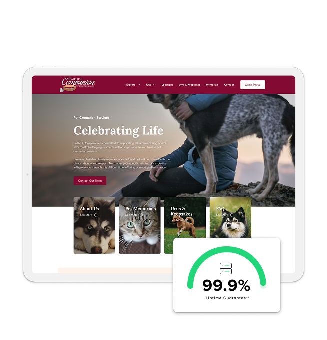 Host Your Website Mockup